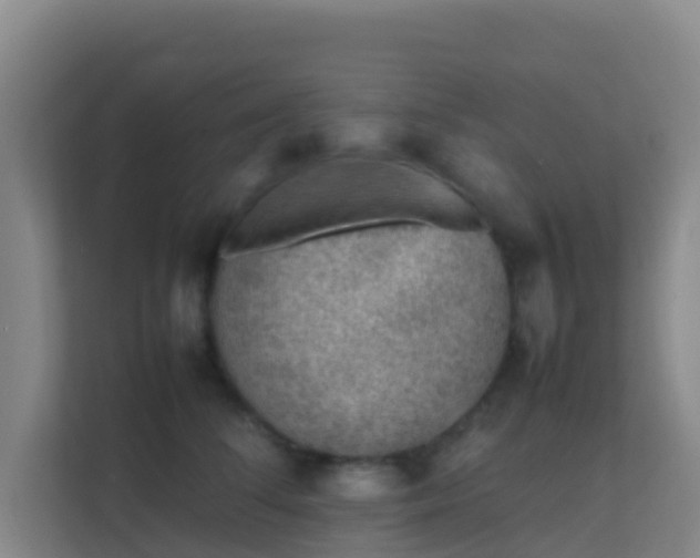X0000111650708200907241131