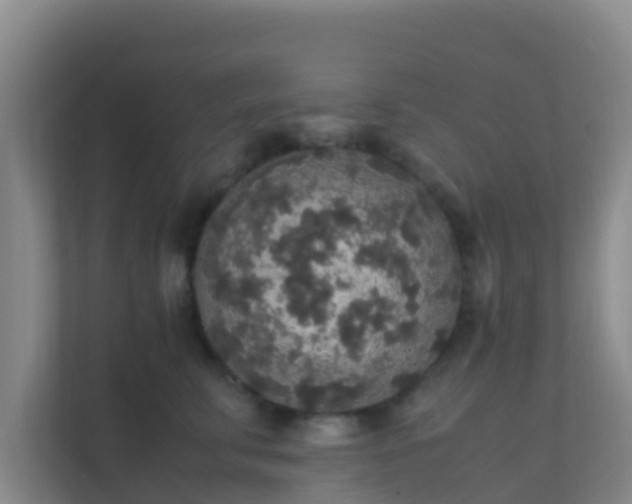X0000111650711200907241131