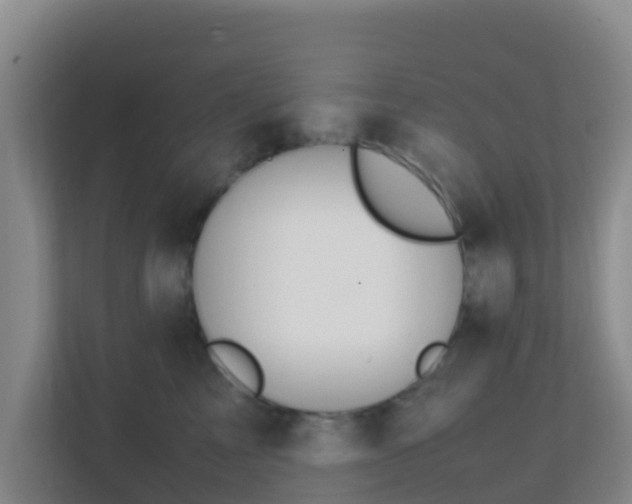 X0000111650713200907241131