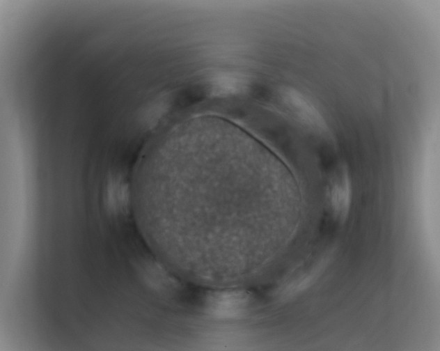 X0000111650716200907241131