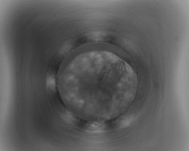 X0000111650720200907241131