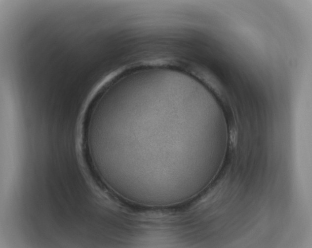 X0000111650724200907241131