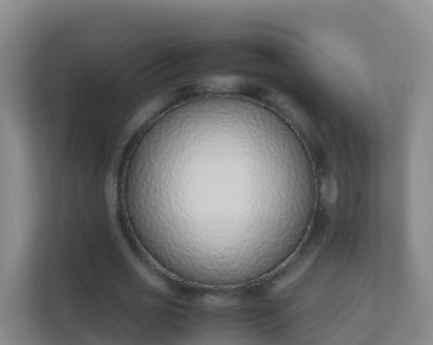X0000111650725200907241131