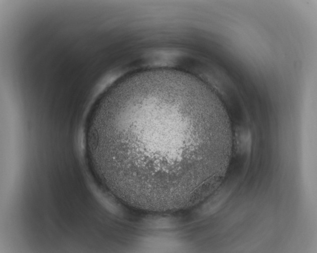 X0000111650726200907241131