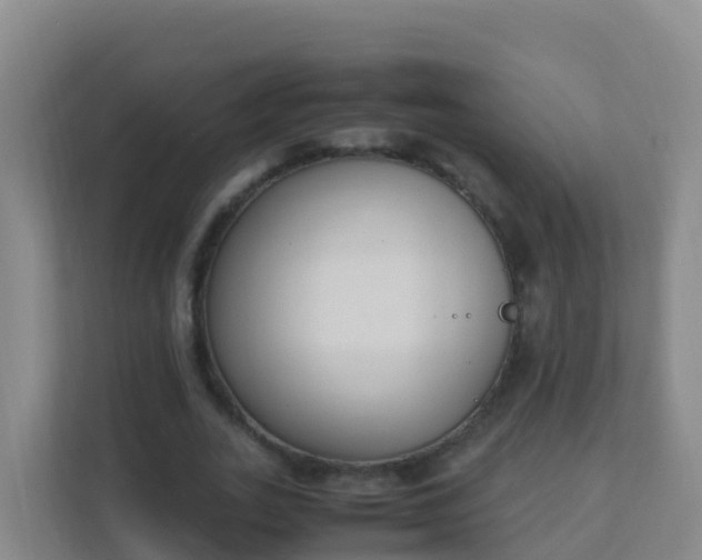 X0000111650727200907241131