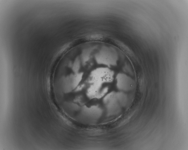 X0000111650729200907241131