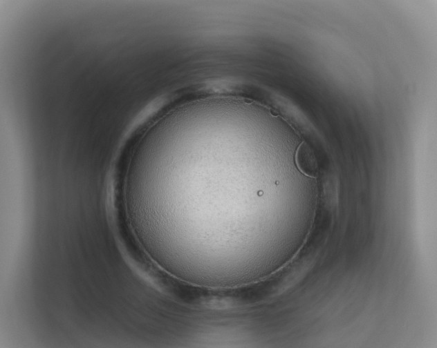 X0000111650730200907241131