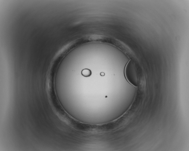 X0000111650732200907241131