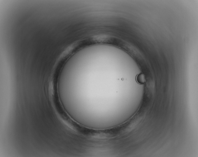 X0000111650734200907241131