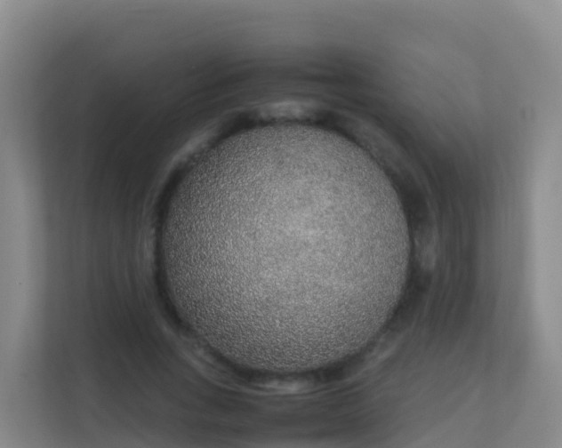 X0000111650735200907241131