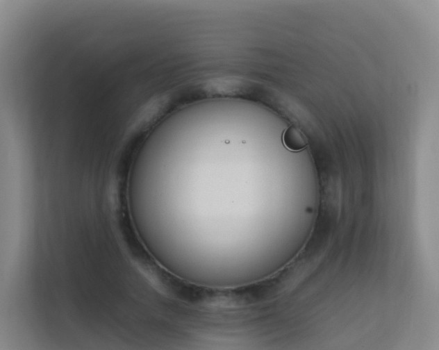 X0000111650738200907241131
