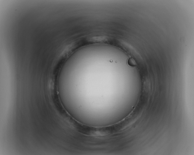 X0000111650739200907241131