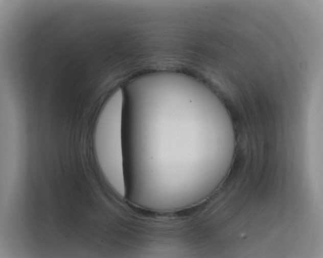 X0000111650744200907241131