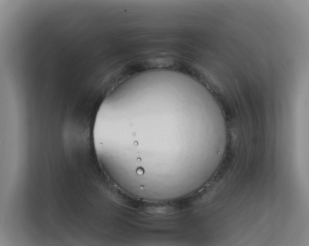 X0000111650745200907241131