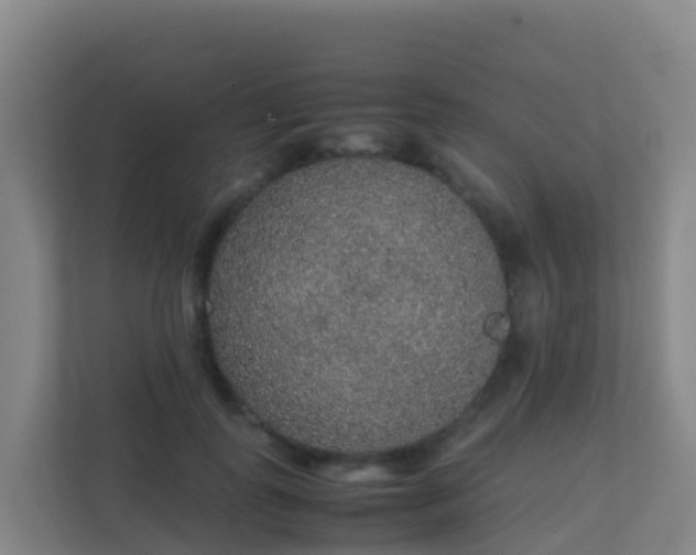 X0000111650747200907241131