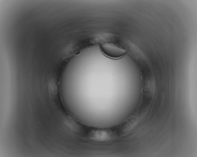 X0000111650751200907241131