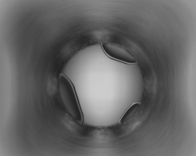 X0000111650752200907241131
