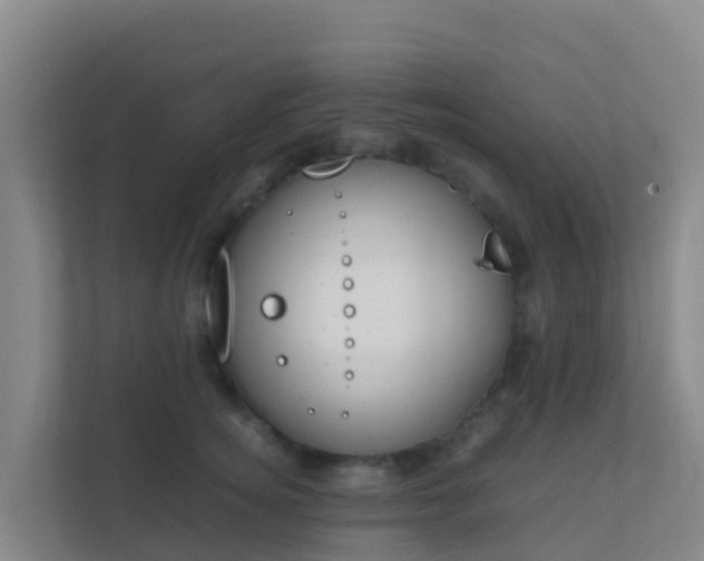 X0000111650756200907241131
