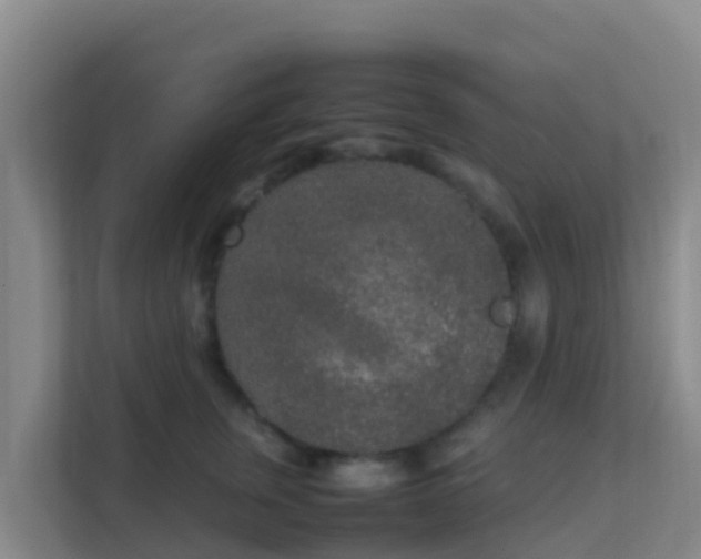 X0000111650759200907241131