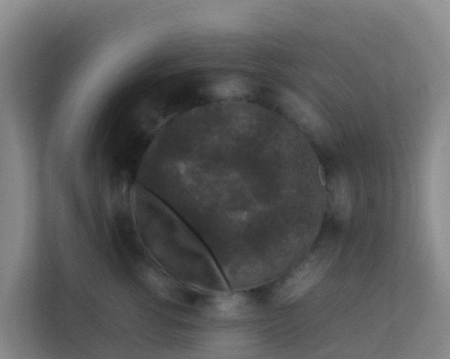 X0000111650762200907241131