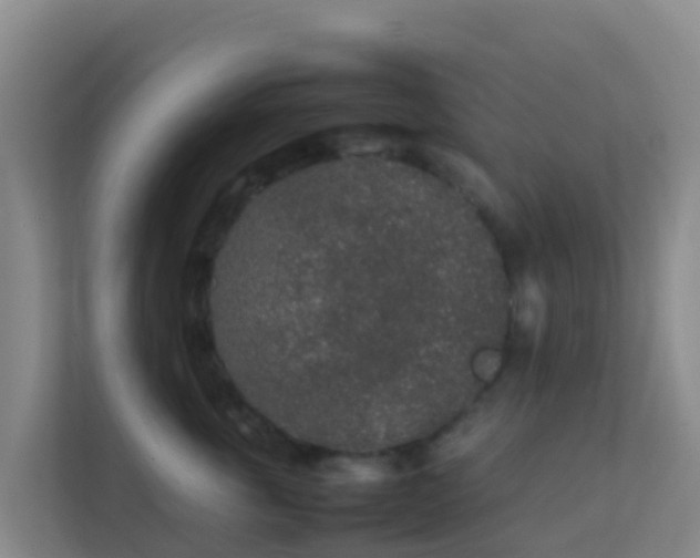 X0000111650763200907241131
