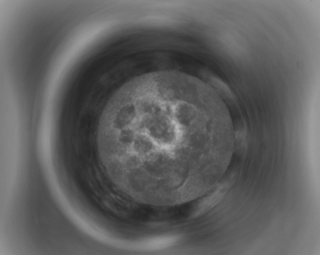 X0000111650765200907241131