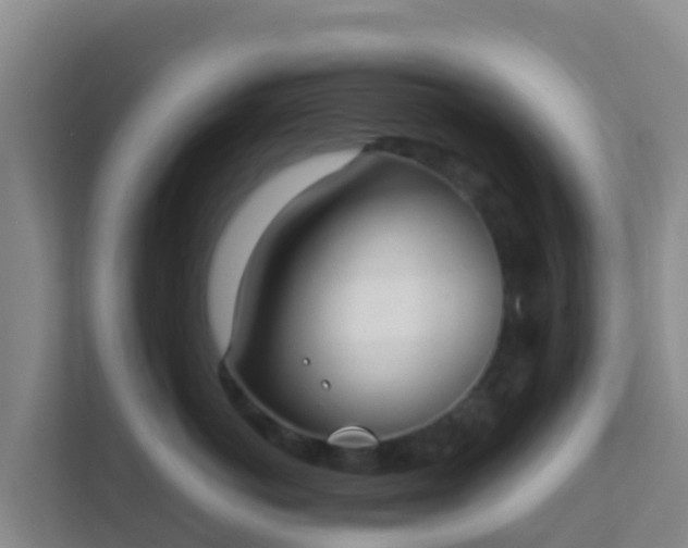 X0000111650766200907241131