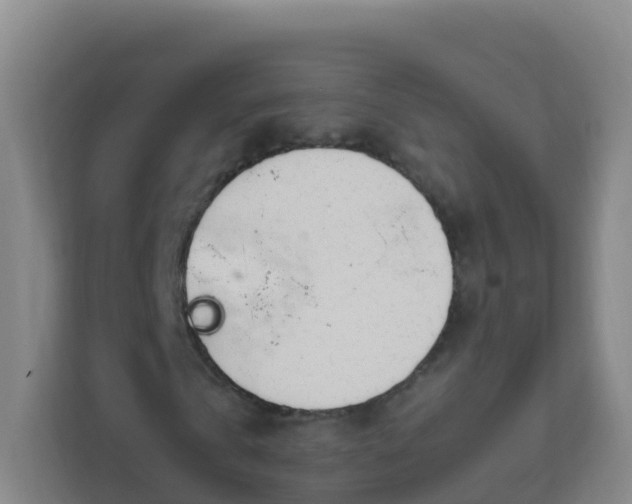 X0000111650769200907241131