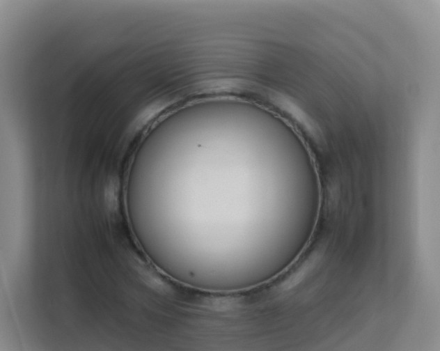 X0000111650778200907241131