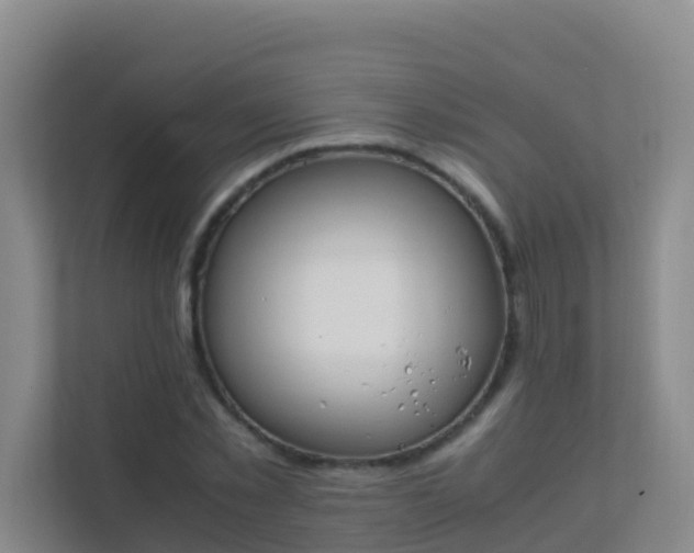 X0000111650781200907241131