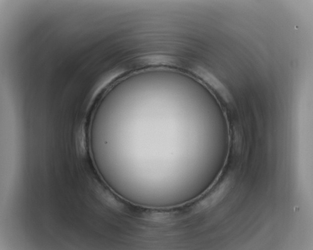 X0000111650782200907241131