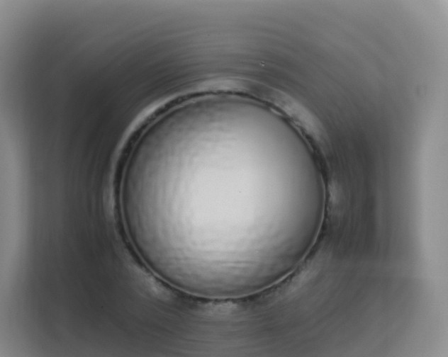 X0000111650784200907241130