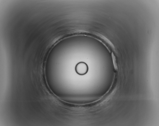 X0000111650785200907241130