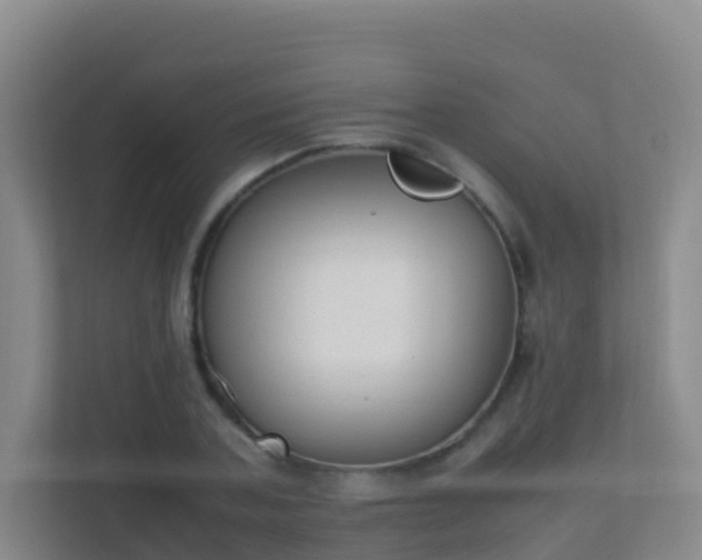 X0000111650787200907241130