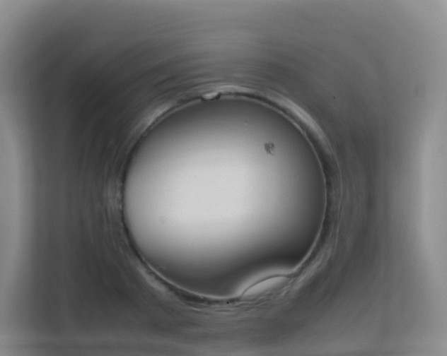 X0000111650793200907241130