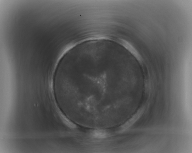 X0000111650797200907241130