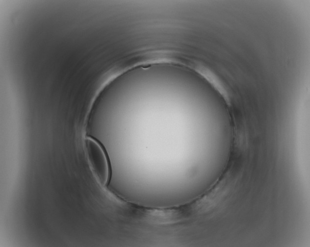 X0000111650805200907241130