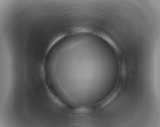 X0000111650806200907241130