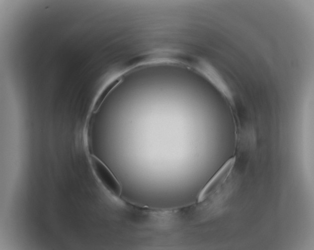 X0000111650813200907241130