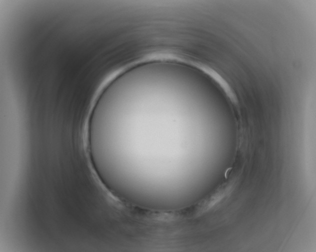 X0000111650815200907241130