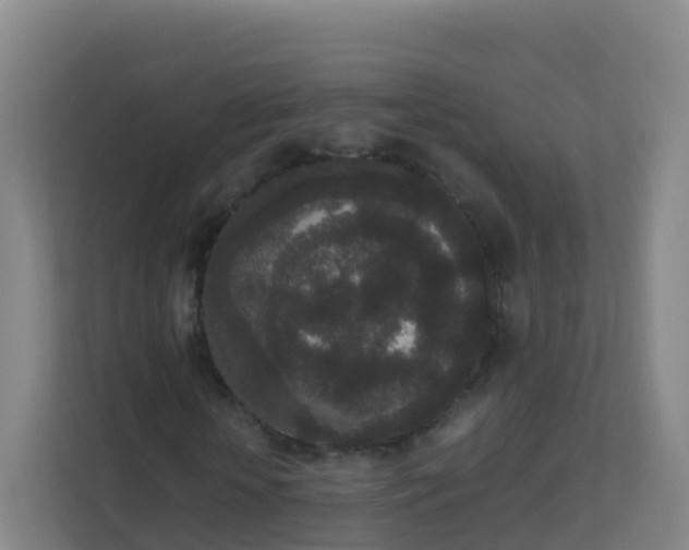 X0000111650818200907241129