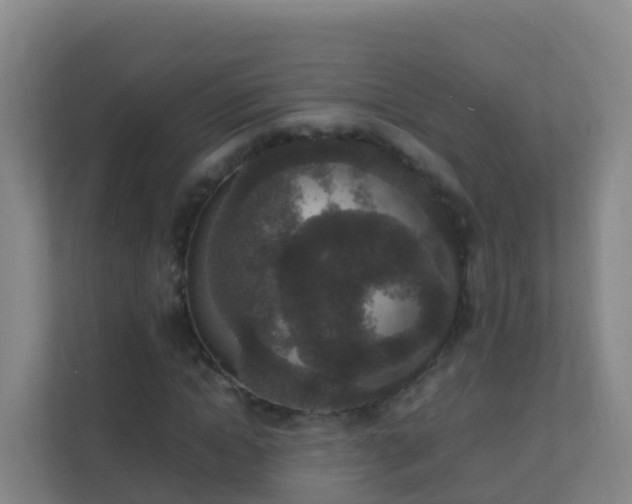 X0000111650822200907241130