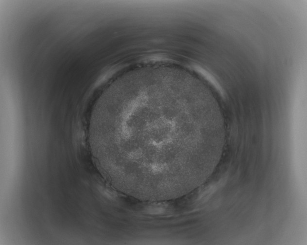 X0000111650823200907241130