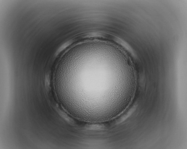 X0000111650826200907241130