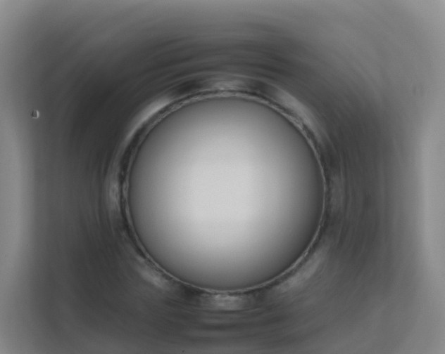 X0000111650827200907241130