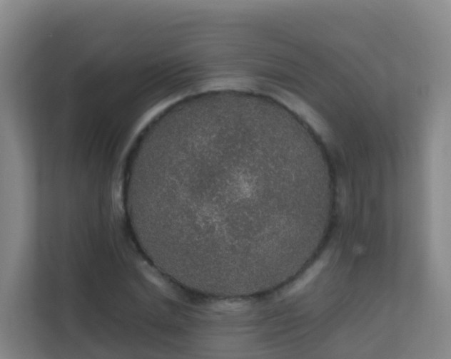 X0000111650830200907241130