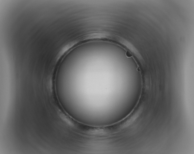 X0000111650834200907241130