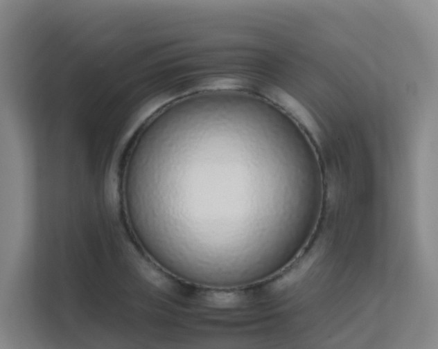 X0000111650835200907241130