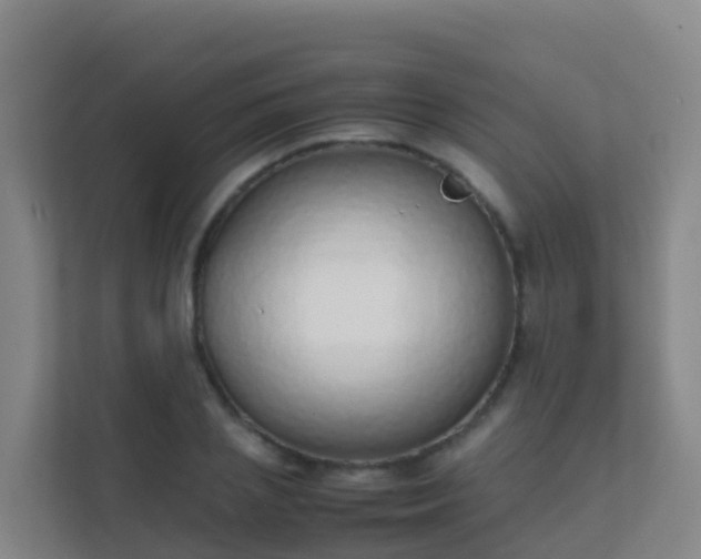 X0000111650837200907241130