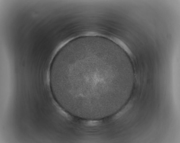 X0000111650839200907241130